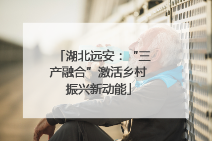 湖北远安：“三产融合”激活乡村振兴新动能