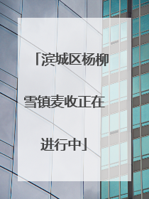 滨城区杨柳雪镇麦收正在进行中