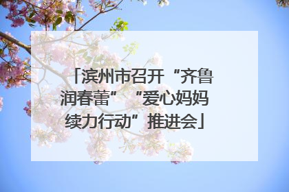 滨州市召开“齐鲁润春蕾”“爱心妈妈续力行动”推进会