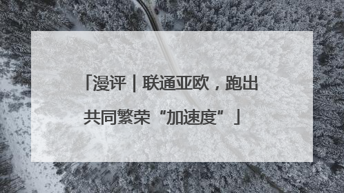 漫评｜联通亚欧，跑出共同繁荣“加速度”
