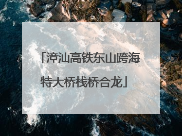漳汕高铁东山跨海特大桥栈桥合龙