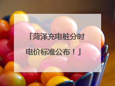 菏泽充电桩分时电价标准公布！