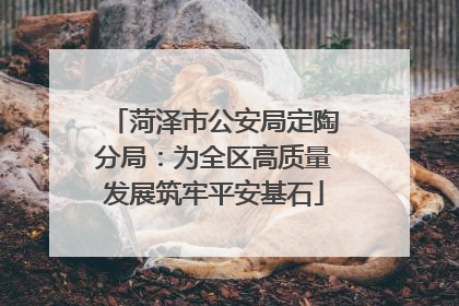 菏泽市公安局定陶分局：为全区高质量发展筑牢平安基石