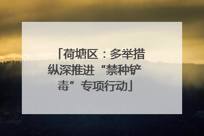 荷塘区：多举措纵深推进“禁种铲毒”专项行动