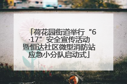 荷花园街道举行“6·17”安全宣传活动暨恒达社区微型消防站应急小分队启动式