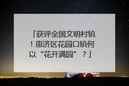 获评全国文明村镇！惠济区花园口镇何以“花开满园”？