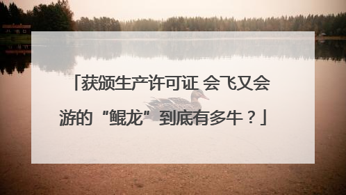 获颁生产许可证 会飞又会游的“鲲龙”到底有多牛？