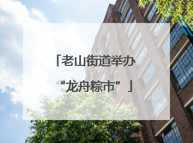 老山街道举办“龙舟粽市”