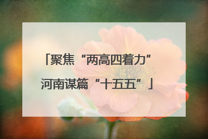 聚焦“两高四着力” 河南谋篇“十五五”