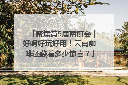 聚焦第9届南博会｜好喝好玩好用！云南咖啡还藏着多少惊喜？