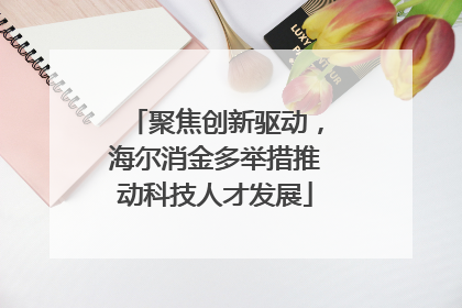 聚焦创新驱动，海尔消金多举措推动科技人才发展