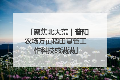 聚焦北大荒｜普阳农场万亩稻田夏管工作科技感满满