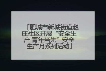 肥城市新城街道赵庄社区开展“安全生产 青年当先”安全生产月系列活动