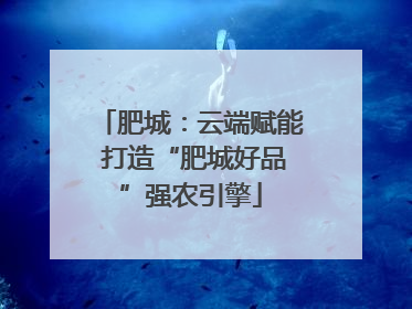 肥城：云端赋能 打造“肥城好品”强农引擎