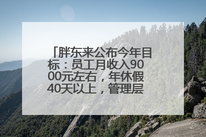胖东来公布今年目标：员工月收入9000元左右，年休假40天以上，管理层人均分配70万元