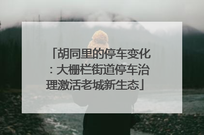 胡同里的停车变化：大栅栏街道停车治理激活老城新生态