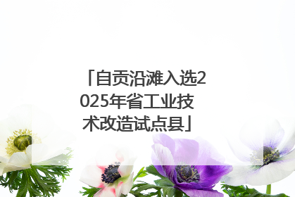 自贡沿滩入选2025年省工业技术改造试点县