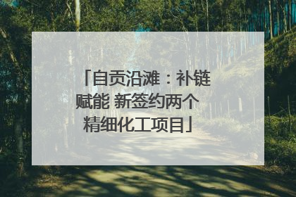 自贡沿滩：补链赋能 新签约两个精细化工项目