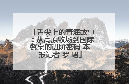 舌尖上的青海故事：从高原牧场到国际餐桌的进阶密码 本报记者 罗 珺