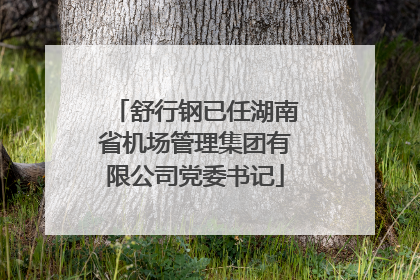 舒行钢已任湖南省机场管理集团有限公司党委书记