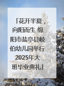 花开半夏，向阳而生 绵阳市盐亭县岐伯幼儿园举行2025年大班毕业典礼