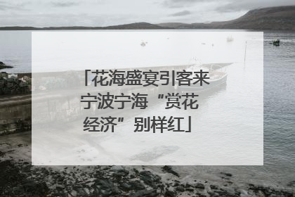 花海盛宴引客来 宁波宁海“赏花经济”别样红