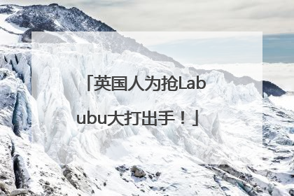英国人为抢Labubu大打出手！