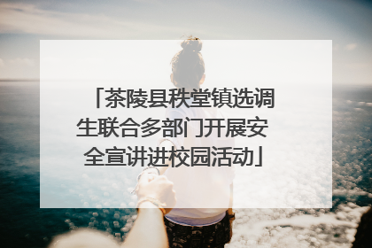 茶陵县秩堂镇选调生联合多部门开展安全宣讲进校园活动