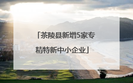 茶陵县新增5家专精特新中小企业