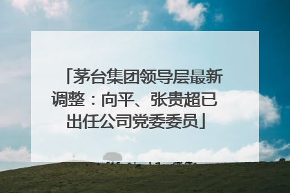茅台集团领导层最新调整：向平、张贵超已出任公司党委委员