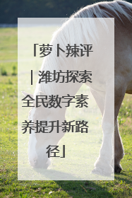 萝卜辣评｜潍坊探索全民数字素养提升新路径