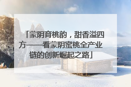蒙阴育桃韵，甜香溢四方——看蒙阴蜜桃全产业链的创新崛起之路