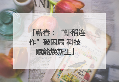 蕲春：“虾稻连作”破困局 科技赋能焕新生