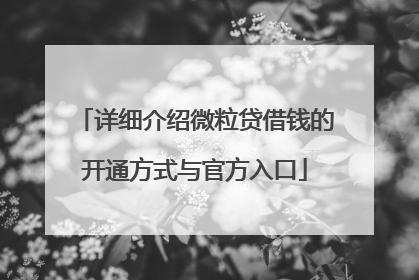 详细介绍微粒贷借钱的开通方式与官方入口