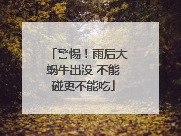 警惕！雨后大蜗牛出没 不能碰更不能吃