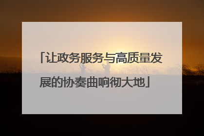 让政务服务与高质量发展的协奏曲响彻大地