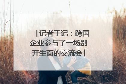 记者手记：跨国企业参与了一场别开生面的交流会