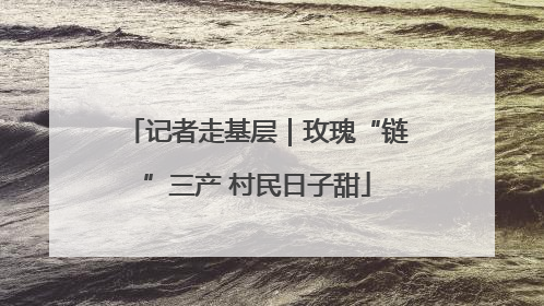 记者走基层｜玫瑰“链”三产 村民日子甜