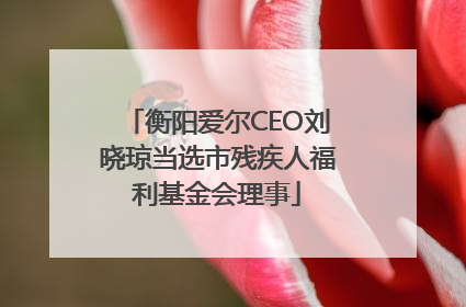 衡阳爱尔CEO刘晓琼当选市残疾人福利基金会理事