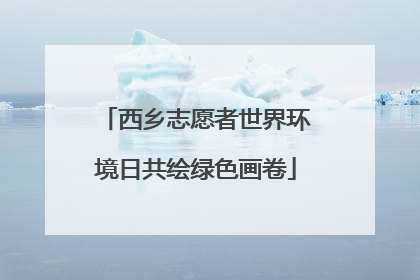 西乡志愿者世界环境日共绘绿色画卷