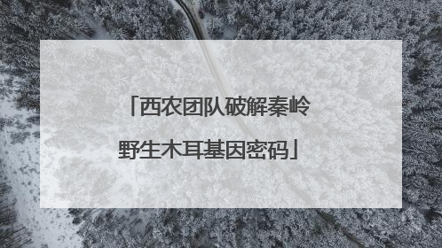 西农团队破解秦岭野生木耳基因密码