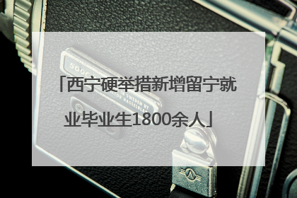 西宁硬举措新增留宁就业毕业生1800余人