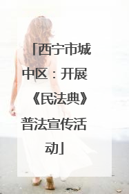 西宁市城中区：开展《民法典》普法宣传活动