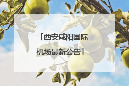 西安咸阳国际机场最新公告