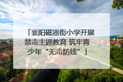 襄阳磁器街小学开展禁毒主题教育 筑牢青少年“无毒防线”