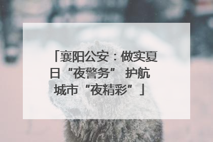 襄阳公安：做实夏日“夜警务” 护航城市“夜精彩”