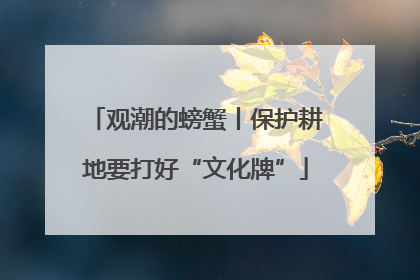 观潮的螃蟹丨保护耕地要打好“文化牌”