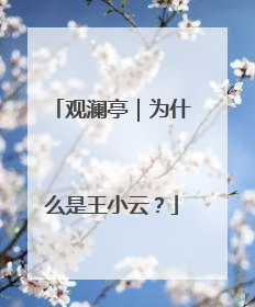 观澜亭｜为什么是王小云？