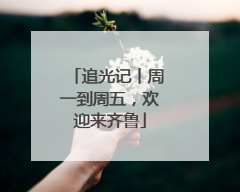 追光记丨周一到周五，欢迎来齐鲁