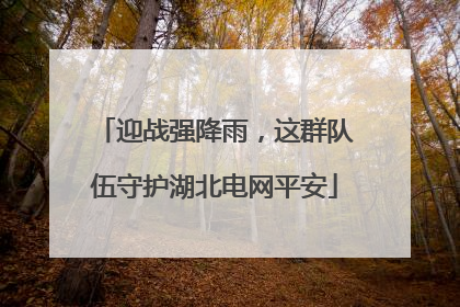 迎战强降雨，这群队伍守护湖北电网平安